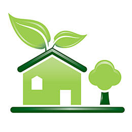 staygreen
